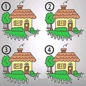 Which House is Different?