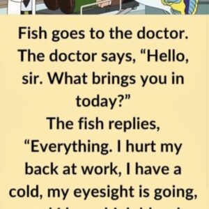 Video: Fish goes to the doctor