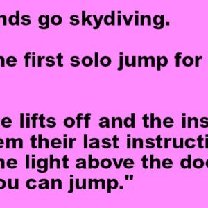 Two friends go skydiving.