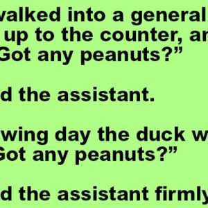 A Duck Walked Into A General Store.
