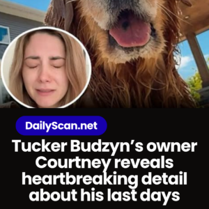 Tucker Budzyn’s owner Courtney reveals heartbreaking detail about his last days