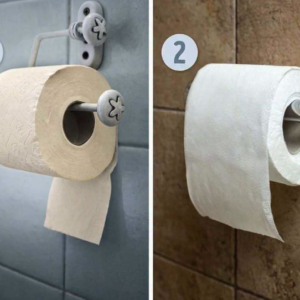 Which Way Is the Correct Way to Hang Toilet Paper? (The Answer Might Surprise You)