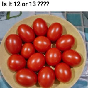 Eye Test: Count The Tomatoes.