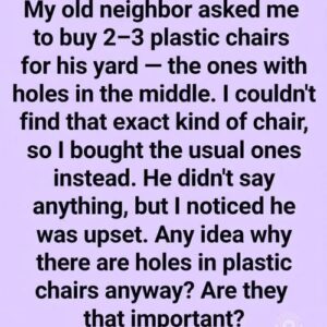 WHY MY NEIGHBOR WANTED CHAIRS WITH HOLES