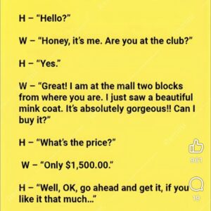Video: A Wife Asks Her Husband To Spend A Lot Of Money