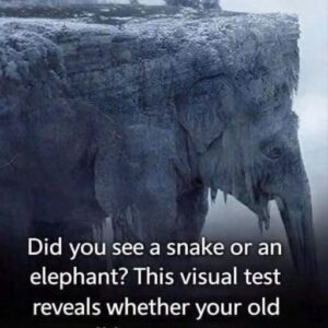 THE FIRST ANIMAL YOU SEE COULD REVEAL A SHOCKING TRUTH ABOUT HOW YOU THINK