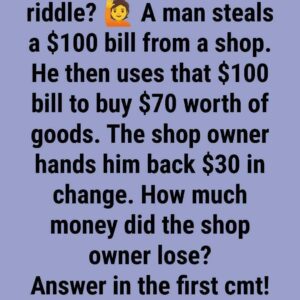 Solve the Riddle: A Man Steals 100$ From a Shop
